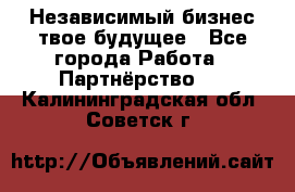 Независимый бизнес-твое будущее - Все города Работа » Партнёрство   . Калининградская обл.,Советск г.